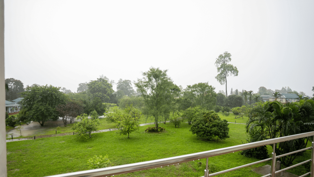 Balcony view from Golden Pagoda ecoresort - best resort in Namsai